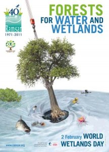 WWD Ramsar poster