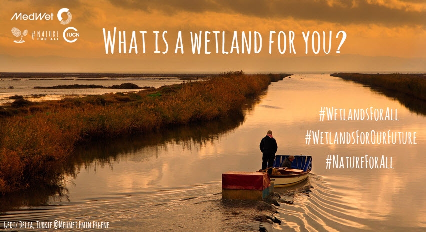WetlandsForAll-campaign