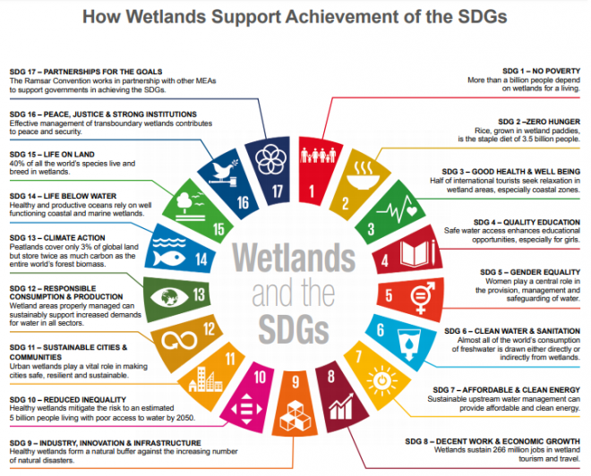 Wetlands and the Sustainable Development Goals (SDGs) Medwet
