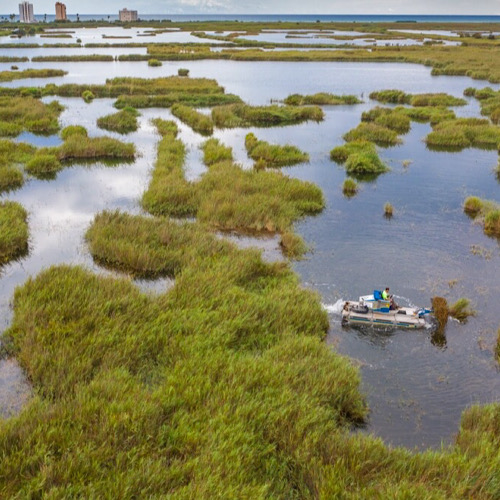 Wetlands, the environmental miracle against climate change | MedWet